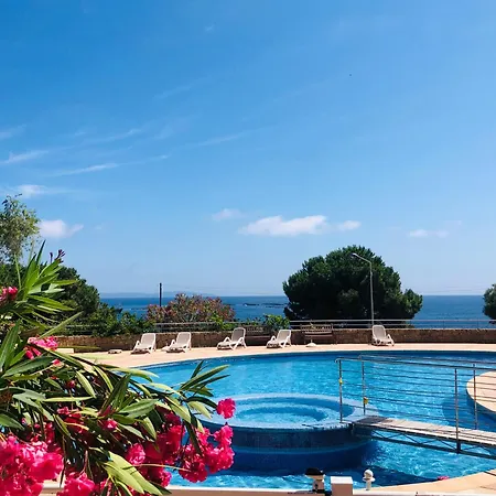 Apartment Les Sanguinaires N'53 - T2 Cosy Piscine 100m Ajaccio (Corsica)