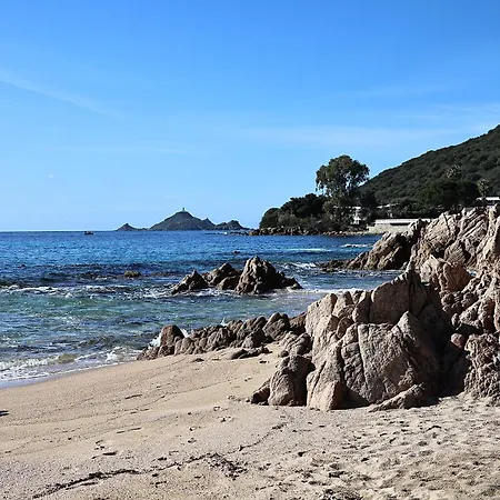 Apartment Les Sanguinaires N'53 - T2 Cosy Piscine 100m Ajaccio (Corsica)