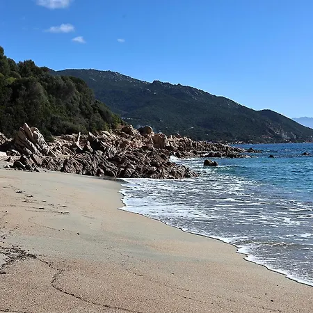 Les Sanguinaires N'53 - T2 Cosy Piscine 100m Apartment Ajaccio (Corsica)
