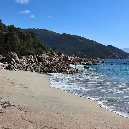 T2 Cosy Grande Terrasse, Piscine Et A 100m Apartment Ajaccio (Corsica)
